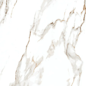 سرامیک طرح آنت سفید ابعاد 60*60-کاشی ساناز-Ant Design Ceramics