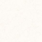 bazel-1