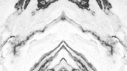 fosil_500667238