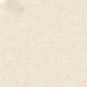 سرامیک طرح کوئین کرم روشن ابعاد 100*100-کاشی ارغوان-Ceramic Queen Arghavan Tile