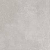 sardinidark-gray__1426502814