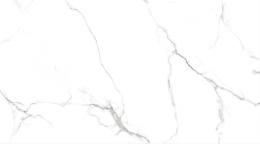 سرامیک مدل سیلوا سفید-120*60-کاشی رزن تایل- Ceramic Silva Rosen Tile