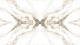 zebraa_for_mach