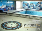 تابلو کاشی و سرامیک استخری اجرا شده طرح دلفین-کاشی البرز-Pool Ceramic Tile Panel