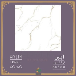 سرامیک طرح آیلین ابعاد 60*60-سرامیک سامان-Ceramic Aylin Saman Tile