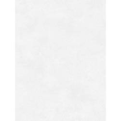 concept-light-gray2