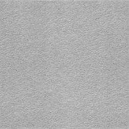 fuji-gray-1