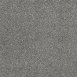 fuji-gray-2