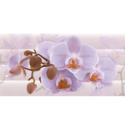 orkide__decor_soosani