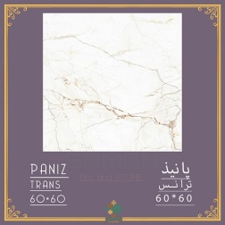سرامیک طرح پانیذ ابعاد 60*60-سرامیک سامان-Ceramic Paniz Saman Tile
