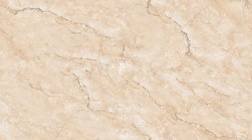 armando-cream-f3-800x400