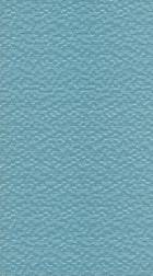 blue_2007079698