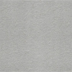 fuji-gray-1