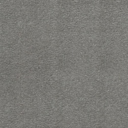 fuji-gray-2