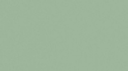 سرامیک طرح مونو کالر سبز ابعاد 120*60-سرامیک سلام سرام-Ceramic Mono Color Salam Ceram