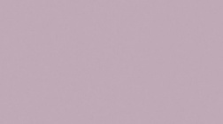 سرامیک طرح مونو کالر بنفش ابعاد 120*60-سرامیک سلام سرام-Ceramic Mono Color Salam Ceram