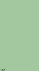 سرامیک طرح مونوکالر سبز روشن ابعاد-120*60-سرامیک روکا سرام- Ceramic Monocolor Roka Ceram