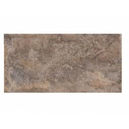 2019-08-لیون-طوسی