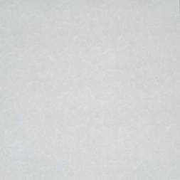 2019-09-پارس-طوسی-1