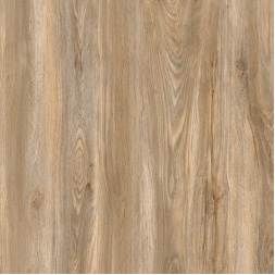 سرامیک طرح آردوسیا قهوه ای روشن ابعاد-60*60-سرامیک آرین سرام-Ceramic Ardesia Arian Ceram 