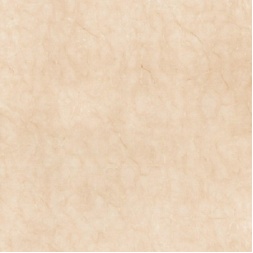 سرامیک طرح 8010I_5 MPP ابعاد-80*80-کاشی سرامیک میلاد-Ceramic 8010I_5 MPP Milad Tile