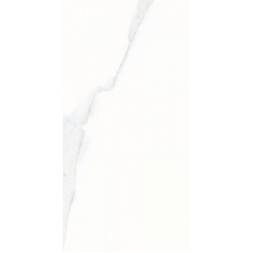 8349_1286831034