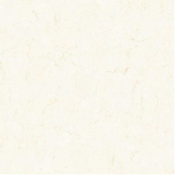 سرامیک طرح آکوا ابعاد-60*60-سرامیک شایان سرام میبد-Ceramic Aqua Shayan Ceram Meybod