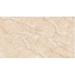 armando-cream-f3-800x400
