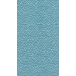 blue_2007079698