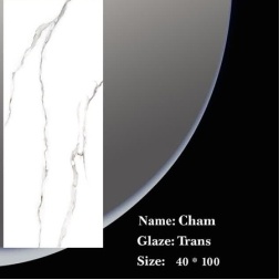 سرامیک طرح چم ابعاد-100*40-ویرا سرام- Ceramic Cham Vira Ceram