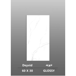 سرامیک طرح دیوید ابعاد-60*30-داریوش سرام کویر-Ceramic Deyvid Dariush Ceram Kavir