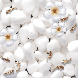 سرامیک طرح النا سفید دکور ابعاد 30*30-سرامیک طلا سرام-Ceramic Elena Tala Ceram
