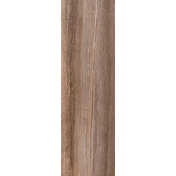 florida_345898014
