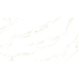 سرامیک طرح فونیکس ابعاد-160*80-کاشی پارس-Ceramic Fonix Pars Tile