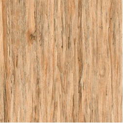 سرامیک طرح گیلانا بژ تیره ابعاد 60*60-کاشی خاطره اردکان -Ceramic Gilana Khatereh Ardekan Tile