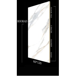 سرامیک طرح هوراد طلایی براق ابعاد-120*60-کاشی الماس کویر رفسنجان-Ceramic Horad Almas Kavir Rafsanjan Tile