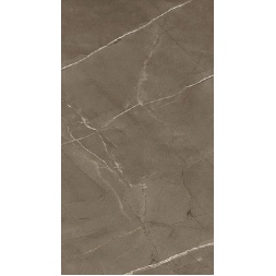 سرامیک طرح آیس NP25 ابعاد-120*60-کاشی پاسارگاد-Ceramic ICE NP25 Pasargad Tile