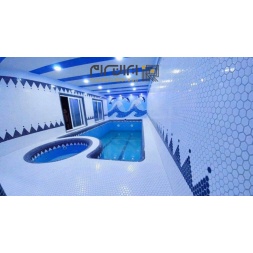 تابلو کاشی و سرامیک استخری اجرا شده طرح دلفین آبی تیره-Pool Ceramic Tile Panel