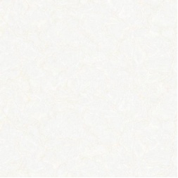 سرامیک طرح جنسیس استخوانی ابعاد 60*60-کاشی زهره کاشمر-Ceramic Genesis Zohreh Tile