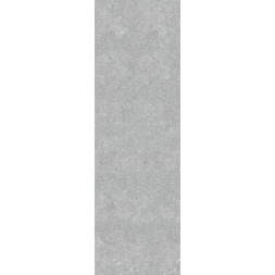 lcd-100
