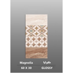 سرامیک طرح مگنولیا ابعاد-60*30-داریوش سرام کویر-Ceramic Magnolia Dariush Ceram Kavir