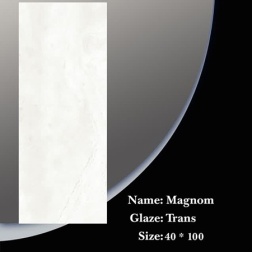 سرامیک طرح لیونل کرم روشن ابعاد-100*40-ویرا سرام- Ceramic Lionel Vira Ceram