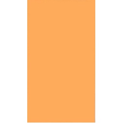 monocolor_holoee_2