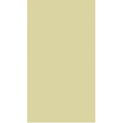 monocolor_zard