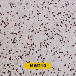 موزا سنگ فول بادی کد MW210 ابعاد-60*60-سنگ سالار- Full Body Mosaic Stone Code MW210 Salar Sang