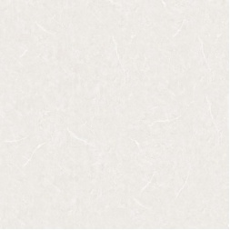 سرامیک طرح پادینا ابعاد-80*80-سرامیک آرین سرام-Ceramic Padina Arian Ceram