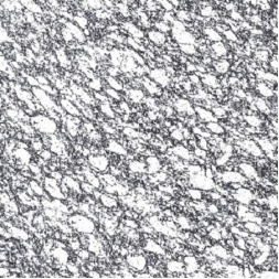 سرامیک طرح رادین طوسی تیره ابعاد 60*60-سرامیک کارون نوین ایساتیس-Ceramic Radin Karun Tile