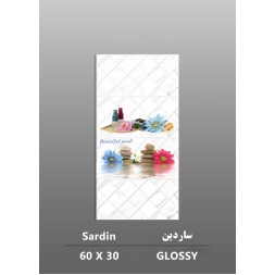 سرامیک طرح ساردین ابعاد-60*30-داریوش سرام کویر-Ceramic Sardin Dariush Ceram Kavir