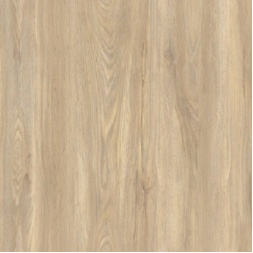 سرامیک طرح شمشاد ابعاد-60*60-کاشی گلچین میبد-Ceramic Shemshad Golchin Tile