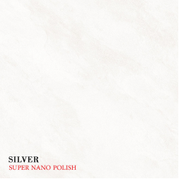 silver_781598666